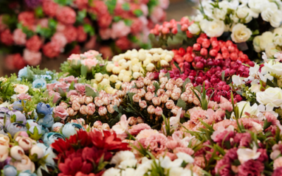 Essential Factors for Choosing a Wholesale Floral Supplies Company